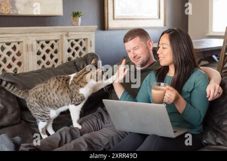 Chat donnant à la femme un haut cinq avec ordinateur portable Banque D'Images