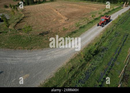 Agriculteur conduisant un tracteur rouge sur une route de gravier près d'un champ cultivé Banque D'Images