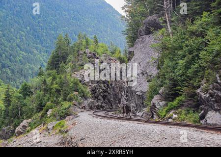 Voie ferrée courbant à travers une forêt de montagne luxuriante avec des falaises rocheuses Banque D'Images
