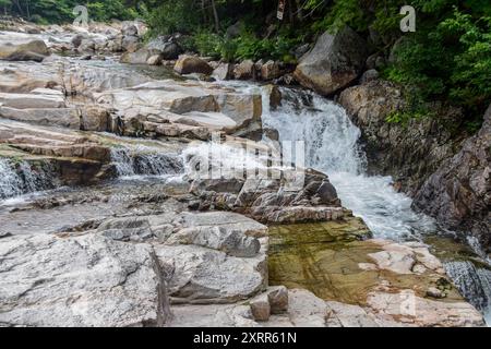 Petite cascade en cascade sur des rochers dans une zone boisée. Banque D'Images
