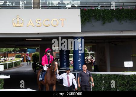 Ascot, Royaume-Uni. 10 août 2024. HOUSTONN monté par la jockey Marie Velon se dirige sur le circuit pour la Dubai Duty Free Shergar Cup Class (handicap de classe 3) à l’hippodrome d’Ascot dans le Berkshire lors de la réunion de la Dubai Duty Free Shergar Cup. Propriétaire Mme Johnny de la Hay, entraîneur Richard Hannon, Marlborough, éleveur Sun Kingdom Pty Ltd, commanditaire Tote. Crédit : Maureen McLean/Alamy Banque D'Images