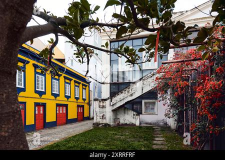 Stadtansicht von Aveiro, genannt das Venedig Portugals, Alte und neue Fassaden mit Blumen in der Altstadt Impressionen Aveiro *** vue de la ville d'Aveiro, appelée la Venise du Portugal, façades anciennes et nouvelles avec des fleurs dans la vieille ville impressions Aveiro Banque D'Images