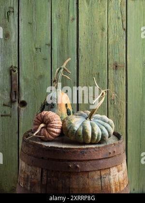 Musquee de Maroc, Black Futsu et Chinese Butternut Winter Squash Harvest sur un tonneau rustique Banque D'Images