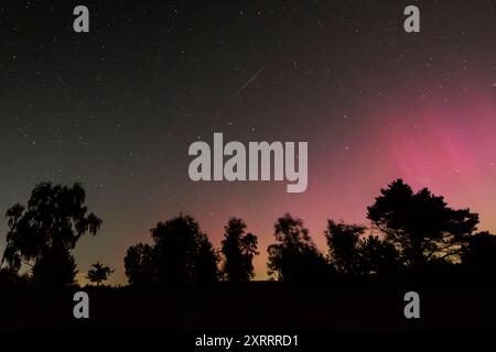 aurore boréale, aurores boréales, avec étoile filante au-dessus d'Ursa Major, The Plough, Iping Common, West Sussex, Royaume-Uni, 12 août 2024, Sud de l'Angleterre Banque D'Images