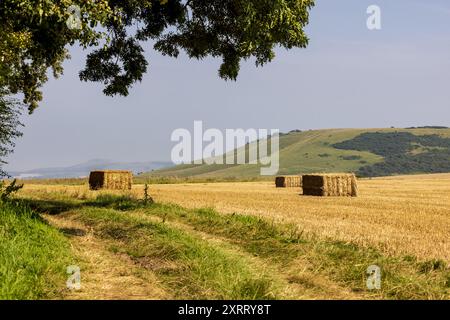 Un sentier le long de la lisière des terres agricoles dans le Sussex, avec des balles de paille dans un champ après la récolte Banque D'Images