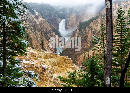 Lower Falls dans le Grand Canyon du Yellowstone avec de la neige, parc national de Yellowstone, Wyoming, États-Unis. Banque D'Images