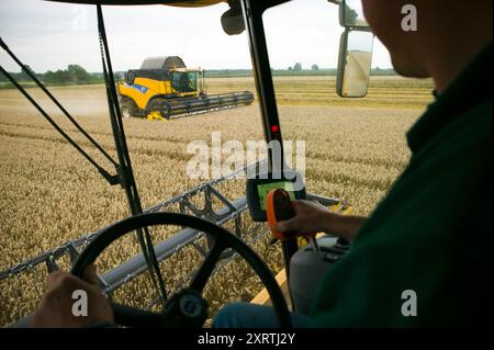 Temps de récolte dans les Cotswolds, dans la campagne britannique, avec des moissonneuses-batteuses dans les champs récoltant la récolte. Banque D'Images