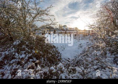 Un paysage de neige avec des arbres sans feuilles sur une colline, couverte de glace et de neige et étincelant dans le soleil de fin d'après-midi. Banque D'Images