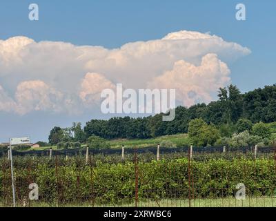 Via del Garda, Salionze. 12 août 2024. Conditions de canicule dans le nord de l'Italie en même temps que la canicule actuelle au Royaume-Uni. Les températures dans le nord de l'Italie ont atteint 46°C en fin d'après-midi dans le village de Salzione près du lac de Garde. Cumulonimbus nuages d'orage s'accumulant au loin. Crédit : james jagger/Alamy Live News Banque D'Images