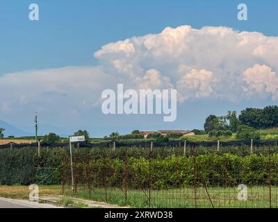 Via del Garda, Salionze. 12 août 2024. Conditions de canicule dans le nord de l'Italie en même temps que la canicule actuelle au Royaume-Uni. Les températures dans le nord de l'Italie ont atteint 46°C en fin d'après-midi dans le village de Salzione près du lac de Garde. Cumulonimbus nuages d'orage s'accumulant au loin. Crédit : james jagger/Alamy Live News Banque D'Images