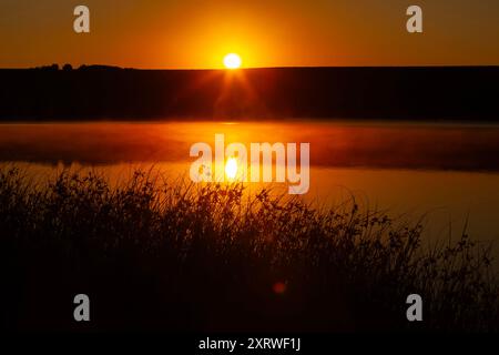 Majestueux lever de soleil doré sur un lac calme avec des roseaux au premier plan. Banque D'Images