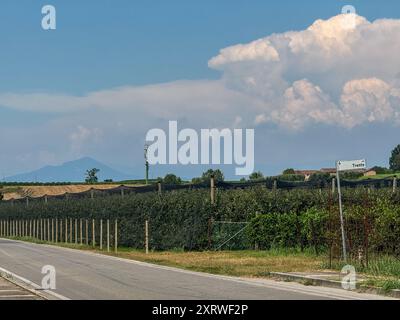 Via del Garda, Salionze. 12 août 2024. Conditions de canicule dans le nord de l'Italie en même temps que la canicule actuelle au Royaume-Uni. Les températures dans le nord de l'Italie ont atteint 46°C en fin d'après-midi dans le village de Salzione près du lac de Garde. Cumulonimbus nuages d'orage s'accumulant au loin. Crédit : james jagger/Alamy Live News Banque D'Images