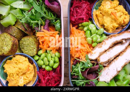 Boîte à lunch en plastique remplie de salades et de lanières de poulet pané grillé et de falafels faits maison. Banque D'Images