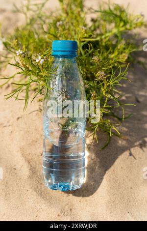 Bouteille d'eau claire placée sur un terrain sablonneux près de plantes vertes. Banque D'Images