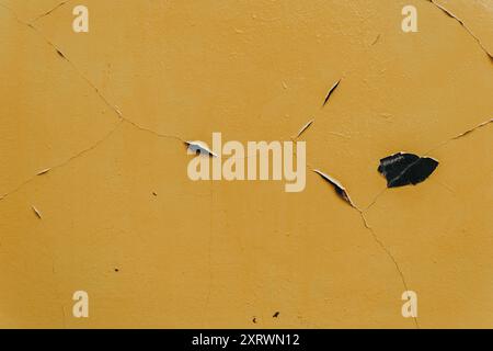 Un mur jaune présente une fissure proéminente, avec une seule feuille reposant délicatement sur sa surface, ajoutant une touche de nature à la scène urbaine. Banque D'Images