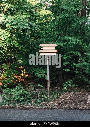 Un panneau avec quatre flèches pointant dans des directions différentes. Le panneau est situé dans une forêt Banque D'Images