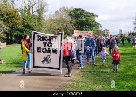 Des foules assistent à une « manifestation sans salaire » au parc Cirencester organisée par le groupe de campagne Right to Roam. Le domaine de Bathurst qui possède et gère le parc a introduit la tarification pour les résidents de la ville et les visiteurs pour l'accès. Banque D'Images