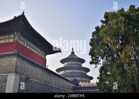 Point de repère touristique du Temple du ciel, où les empereurs des dynasties Ming et Qing priaient au ciel pour une bonne récolte, à Pékin, en Chine Banque D'Images