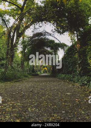 Un chemin à travers une forêt avec une grande arche. L'arche est couverte de vignes et de feuilles Banque D'Images