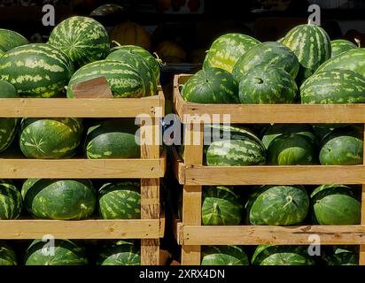 Pastèques chez le vendeur local : soldes d'été rafraîchissantes sur des planches de bois brun. Banque D'Images