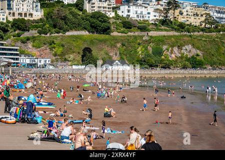 Torquay, Royaume-Uni. 12 août 2024. Les amateurs de plage profitent au maximum du temps le jour le plus chaud de l'année jusqu'à présent, sur la plage de Torquay. Crédit : Thomas Faull/Alamy Live News Banque D'Images