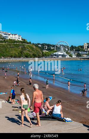 Torquay, Royaume-Uni. 12 août 2024. Les amateurs de plage profitent au maximum du temps le jour le plus chaud de l'année jusqu'à présent, sur la plage de Torquay. Crédit : Thomas Faull/Alamy Live News Banque D'Images