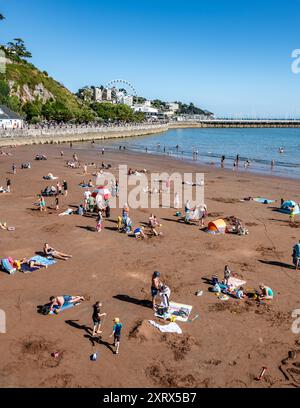 Torquay, Royaume-Uni. 12 août 2024. Les amateurs de plage profitent au maximum du temps le jour le plus chaud de l'année jusqu'à présent, sur la plage de Torquay. Crédit : Thomas Faull/Alamy Live News Banque D'Images