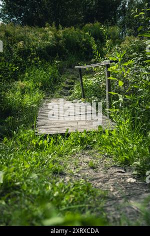 Vieux pont en bois sur une rivière étroite dans le village. Herbe épaisse Banque D'Images