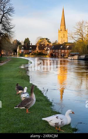 Une belle vue sur la Tamise à Abingdon sur un lever de soleil d'hiver incandescent. Nous sommes sur le pont médiéval d'Abingdon, regardant en aval vers St Helen's Wharf - un lieu de beauté célèbre au bord de la rivière - et l'église anglo-saxonne de St Helens dont le quai porte le nom. Mais la vue d'aujourd'hui est différente. Après des semaines de pluie incessante, la Tamise s’est élevée d’un mètre et a débordé, inondant toute la zone jusqu’à un sentier semi-submergé, encore visible. Banque D'Images