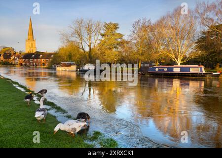 Une belle vue sur la Tamise à Abingdon sur un lever de soleil d'hiver incandescent. Nous sommes sur le pont médiéval d'Abingdon, regardant en aval vers St Helen's Wharf - un lieu de beauté célèbre au bord de la rivière - et l'église anglo-saxonne de St Helens dont le quai porte le nom. Mais la vue d'aujourd'hui est différente. Après des semaines de pluie incessante, la Tamise s’est élevée d’un mètre et a débordé, inondant toute la zone jusqu’à un sentier semi-submergé, encore visible. Banque D'Images