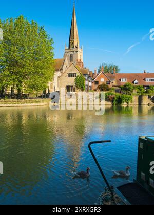 Une belle vue sur la Tamise à Abingdon, tôt un matin d'été. Nous sommes sur la rive sud de la rivière, regardant à travers l'église anglo-saxonne de St Helens dont le quai est nommé d'après, passé une péniche amarrée et quelques oies de Greylag au premier plan. Banque D'Images