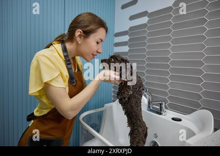 Femme toiletteur jouant avec le petit chien pendant la procédure d'hygiène dans le salon pour animaux de compagnie Banque D'Images