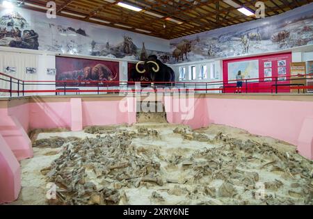 Voronej, Russie - 02 août 2023 : intérieur du Musée archéologique de Kostenki, région de Voronej Banque D'Images