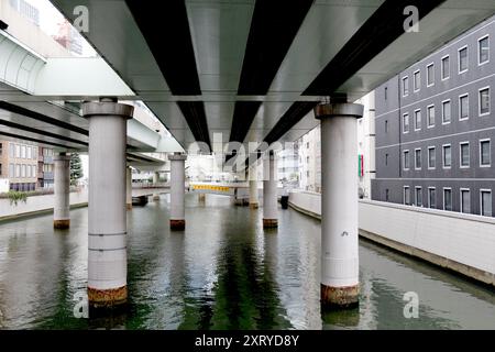 Pont Nihonbashi, Tokyo, Japon. Ancien repère d'Edo Banque D'Images