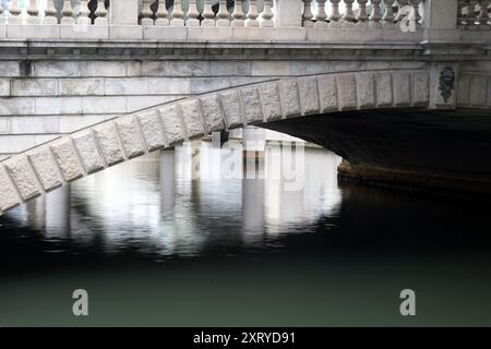 Pont Nihonbashi, Tokyo, Japon. Ancien repère d'Edo Banque D'Images