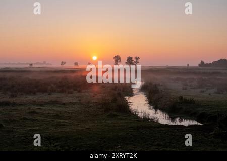 Lever de soleil coloré sur les terres d'herbe dans le parc national weerribben wieden près de Giethoorn dans la province néerlandaise d'overijssel Banque D'Images