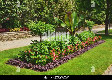 Parterre de fleurs sur Isola Madre, Lac majeur, Italie. Banque D'Images