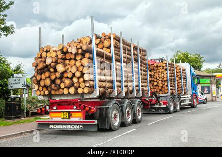 Wagon forestier à essieu arrière double Scania et remorque à trois essieux avec pleine charge de grumes de bois à St Johns Town of Dalry Dumfries and Galloway Scotland UK Banque D'Images