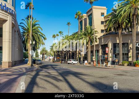 Anaheim, CA, États-Unis - 26 juillet 2024 : vue des bâtiments et des palmiers sur Center Street Promenade dans le centre-ville d'Anaheim, Californie. Banque D'Images