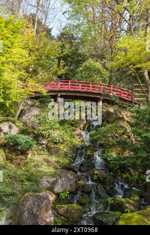 Fujita Memorial Garden, Hirosaki, au printemps. Banque D'Images