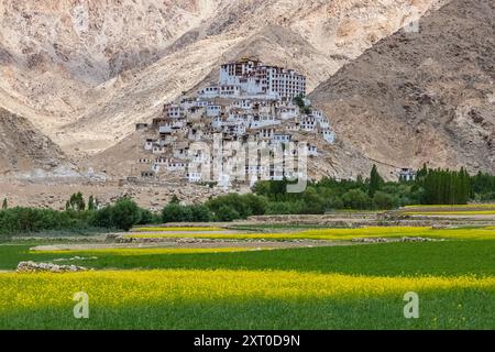 Un ancien monastère tibétain dans un village de Leh, Ladakh avec des champs de moutarde jaune au premier plan. Cliqué le 8 juillet 2024. Banque D'Images