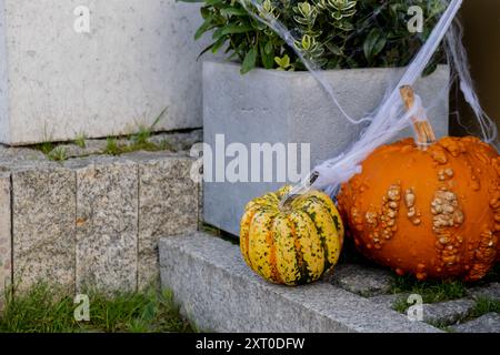 Halloween décoré café extérieur ou terrasse de restaurant en Amérique ou en Europe avec des citrouilles attributs traditionnels d'Halloween. Décoration de la cour pour la fête. Banque D'Images