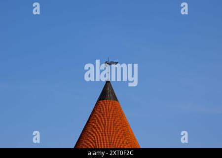 Kaunas, Lituanie. 30 juin 2024. Tour du château de Kaunas Banque D'Images