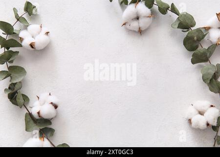 Cadre en fleurs de coton et eucalyptus sur fond blanc Banque D'Images