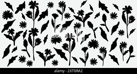 Motifs floraux noirs et blancs chics avec diverses fleurs et feuilles dans un design détaillé et sans couture Illustration de Vecteur