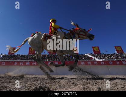 Pékin, la région autonome chinoise de Xizang. 11 août 2024. Un cavalier participe à un festival de courses hippiques traditionnel dans la ville de Nagqu, dans la région autonome de Xizang, au sud-ouest de la Chine, le 11 août 2024. Crédit : Jigme Dorje/Xinhua/Alamy Live News Banque D'Images