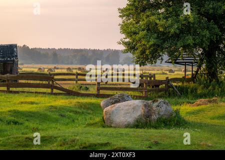 Paysage rural avec un grand bel arbre, des rochers de pierre et une clôture en bois. Balles de foin en arrière-plan Banque D'Images