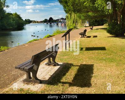 Saint Helen's Wharf est un lieu de beauté remarquable sur la Tamise, juste en amont du pont médiéval à Abingdon-on-Thames. Le quai a été pendant des siècles une importante liaison de transport et de navigation jusqu'à la Tamise et entre les canaux d'Oxford et les Midlands. Habituellement, par un beau matin d'été comme celui-ci, il serait bondé ; mais aujourd'hui tout ce que vous avez ce sont des bancs vides regardant sur une belle scène de rivière. Banque D'Images