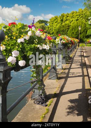 Saint Helen's Wharf est un lieu de beauté remarquable sur la Tamise, juste en amont du pont médiéval à Abingdon-on-Thames. Le quai a été pendant des siècles une importante liaison de transport et de navigation jusqu'à la Tamise et entre les canaux d'Oxford et les Midlands. Les belles maisons de marchands côtoient les maisons d'aumônes et l'église Saint Helens de l'époque saxonne. Ici, nous voyons le quai, vu par une belle journée de mi-été, resplendissant avec des paniers floraux vifs et débordants. Banque D'Images