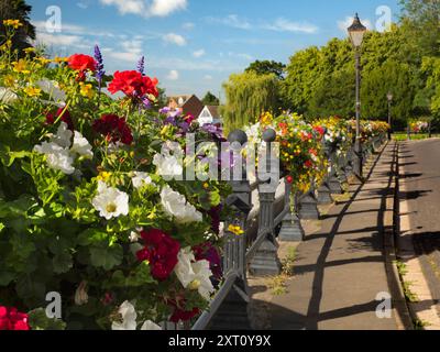 Saint Helen's Wharf est un lieu de beauté remarquable sur la Tamise, juste en amont du pont médiéval à Abingdon-on-Thames. Le quai a été pendant des siècles une importante liaison de transport et de navigation jusqu'à la Tamise et entre les canaux d'Oxford et les Midlands. Les belles maisons de marchands côtoient les maisons d'aumônes et l'église Saint Helens de l'époque saxonne. Ici, nous voyons le quai, vu par une belle journée de mi-été, resplendissant avec des paniers floraux vifs et débordants. Banque D'Images